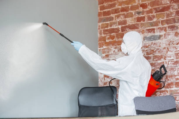 Trusted Opa Locka, FL Mold Removal Experts