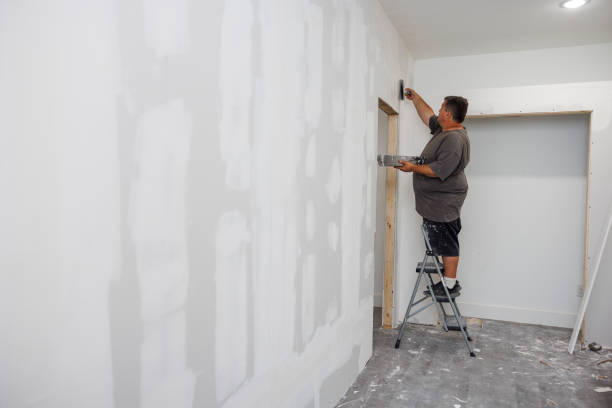 Best Emergency Mold Remediation  in Opa Locka, FL