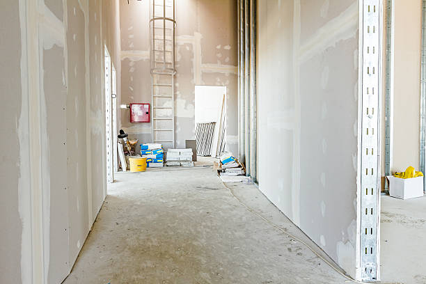 Mold Remediation for Rental Properties in Opa Locka, FL